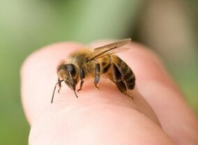mesilase nõelamine peenise suurendamiseks